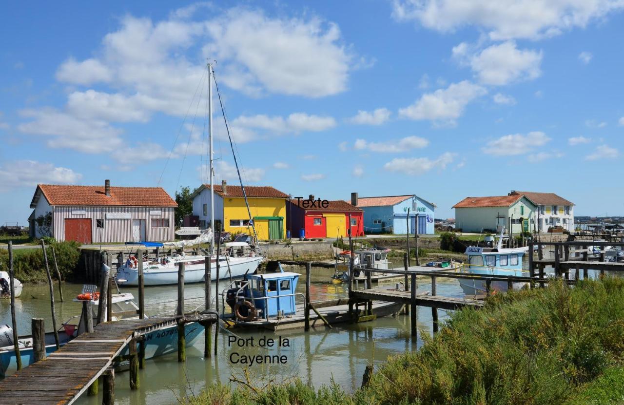 Entre Plage Et Marais Villa Bourcefranc Esterno foto